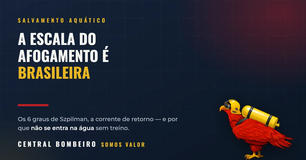 Afogamento: a classificação brasileira que o mundo adotou