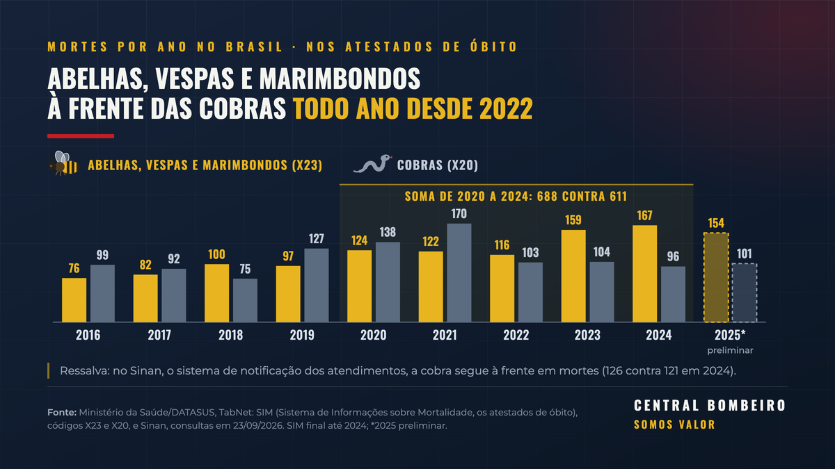 Gráfico de barras das mortes por ano no Brasil, de 2016 a 2025 (2025 preliminar), nos atestados de óbito: abelhas, vespas e marimbondos (X23) ficam à frente das cobras (X20) todo ano desde 2022; de 2020 a 2024, 688 contra 611