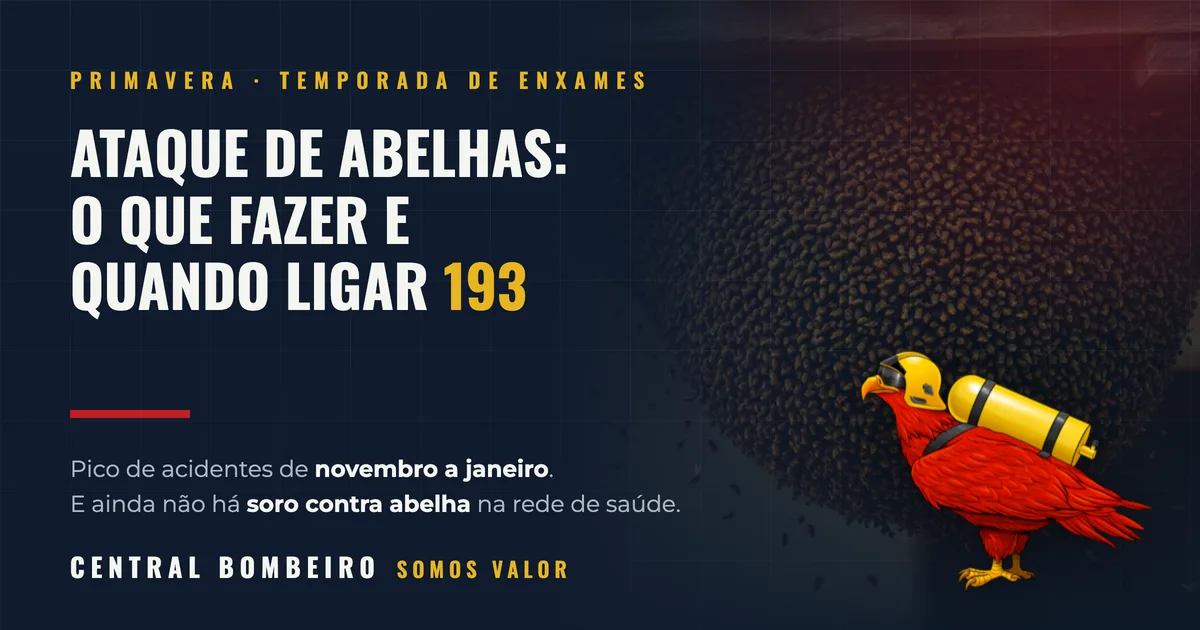 Ataque de abelhas: o que fazer e quando ligar 193